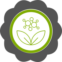Front Icon